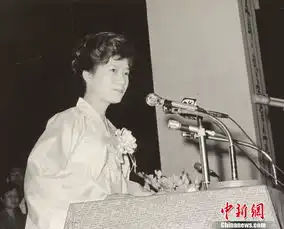冰公主朴槿惠当选韩国首位女总统4