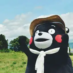 qq头像熊本熊可爱大阪站