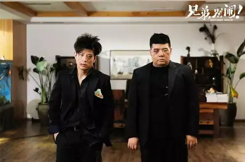 兄弟,别闹