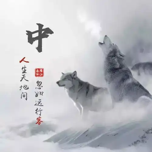 测试一个超长简介的文章