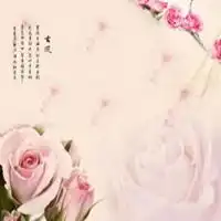 桃花满地唯美图片微信头像图片大全