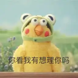 表情包鹦鹉兄弟黄金脆皮鸡