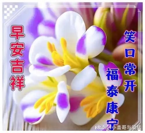 新的一天带着祝福,带着快乐走入群里,送上我最美好的祝福