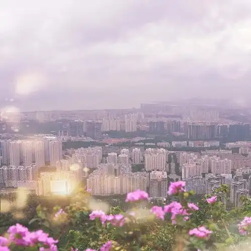 测试一个超长简介的文章