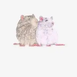 手绘插画素描十二生肖老鼠图片素材其他格式下载动漫人物大全