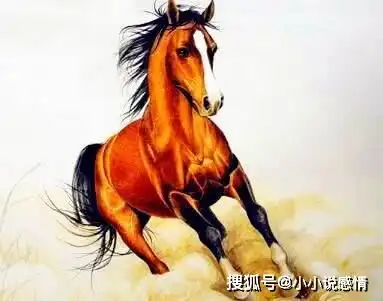 近期忙得不可开交,年底财富大丰收,钱财大赚的4生肖