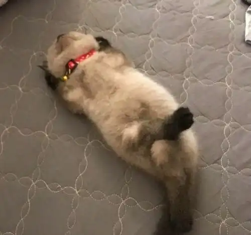 搞笑gif段子知道这里最重要的是什么吗蓝蓝的天空下面有一群逗比在跳舞