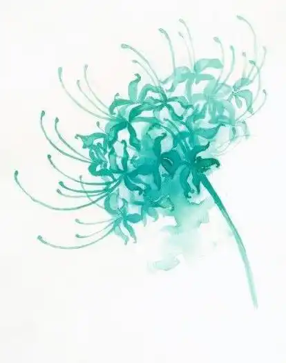 心理测试哪朵彼岸花更好看测你未来的ta有钱还是有颜