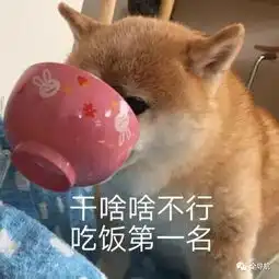 临夏最强带货王2019秋冬服装暨农副产品展销会惊艳你的购物车