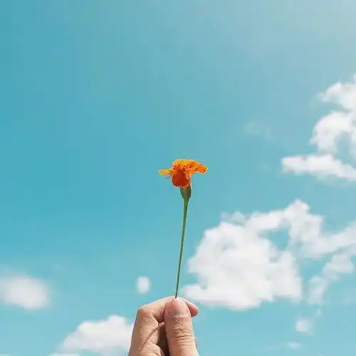 越读越优秀的人生格言,句句经典,引人深思