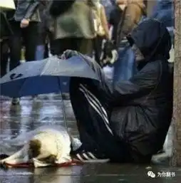 30个让你感动不已的人生故事