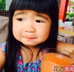 陈乔恩撞脸都敏俊惊现grace贝儿宠物脸