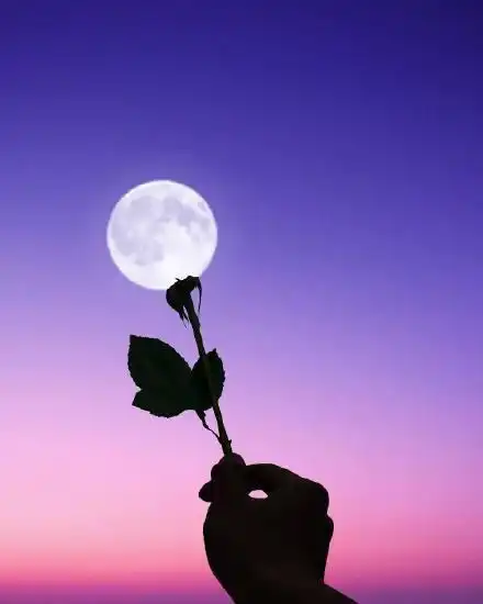有内涵有文采的哲理说说,句句值千金