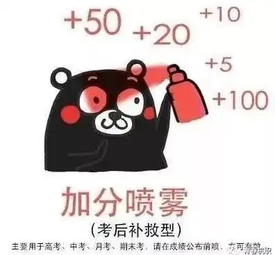 查询全国英语四六级成绩新鲜出炉啦