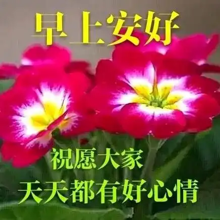 上午好图片问候句子祝福语,朋友圈问候语句子唯美表情图片