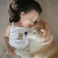 小柴犬和小孩子头像微信头像图片大全