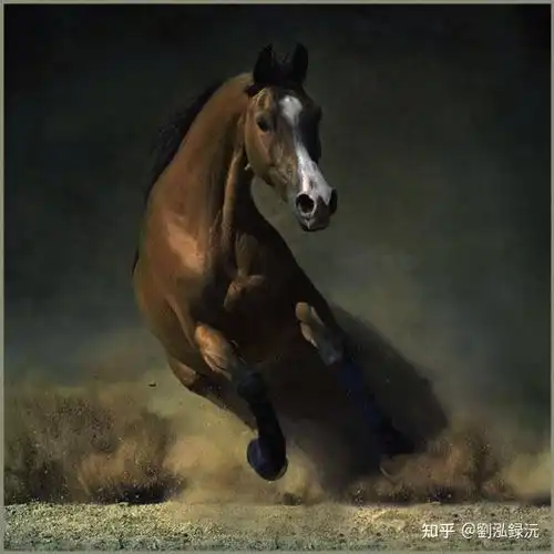 牛转乾坤马到成功