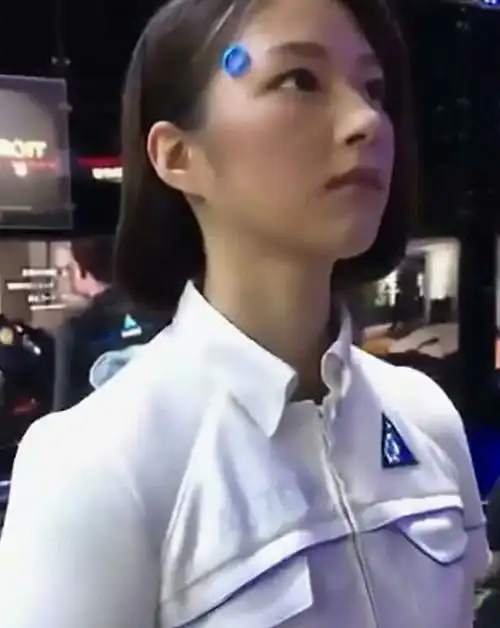 江山彩金领取24小时随时在线江山彩金领取