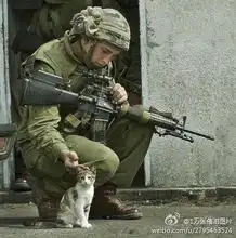 催泪图片,有本事把他看完吧