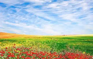 5月下旬运势回升,财运路畅达,大笔钱财入库,生活美滋滋的生肖