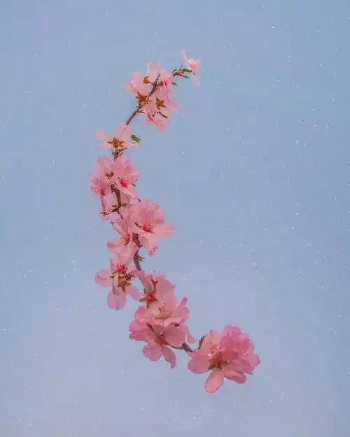 文案情若能自控,要心有何用