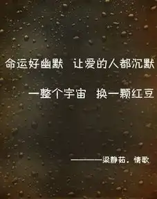 各路歌词,美哭了