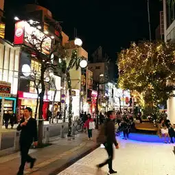 十一月日本关西京都,奈良,大阪自由行超多图的详细攻略不会说日语也可以出发的自由行
