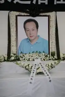 罗京,我为你骄傲
