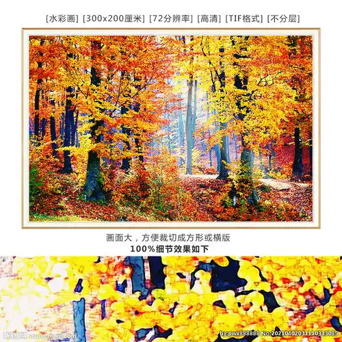 枫树林水彩画装饰画枫叶图片
