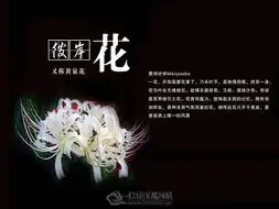 楼顶盛开的小花