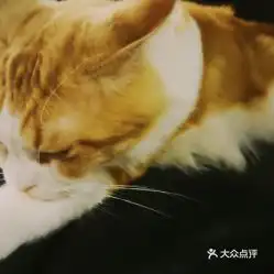 电话,地址,价格,营业时间