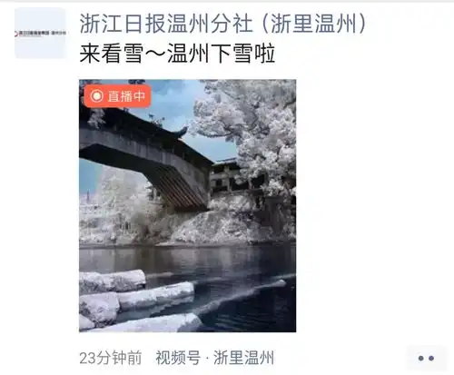 太美了温州下雪啦刚刚,温州市区飘起雪花温州多地出现积雪