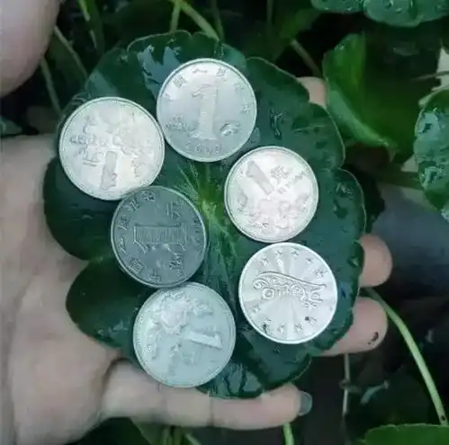 给花喝点饮料,打鸡血似的疯长,一天一个样