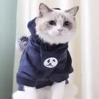 hoopet狗狗服饰hoopet狗狗衣服冬款泰迪秋冬四脚冬装加厚棉服宠物棉衣冬季比熊小狗冬天多少钱