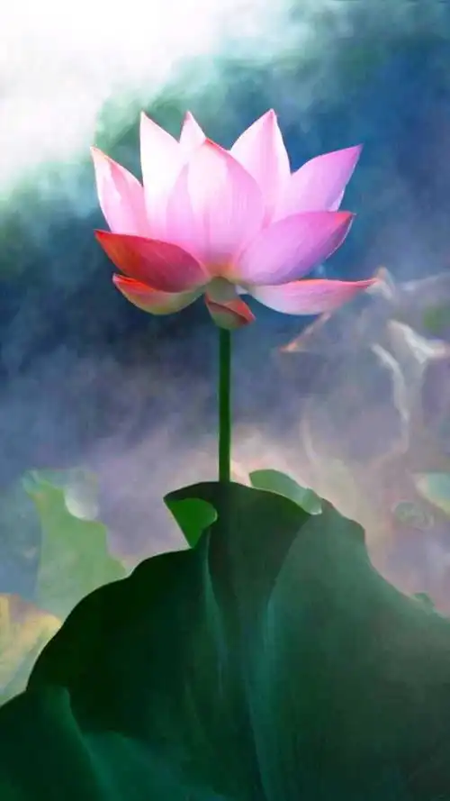 抖音上很流行的感悟短语,句句有内涵,让人醒悟