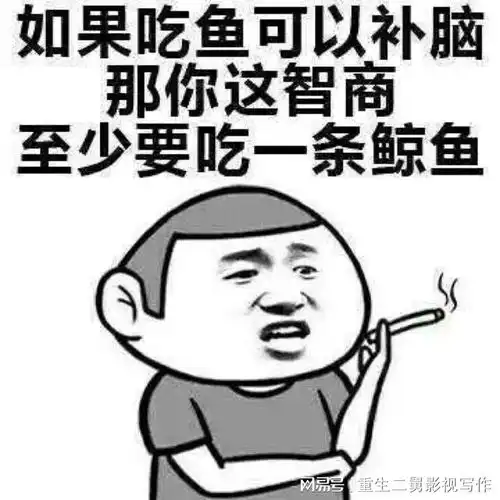 狗为什么不能养十年狗狗已经像一个间谍一样在我家潜伏了12年了