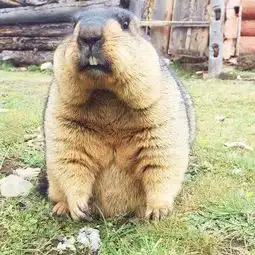 措普沟在哪儿,成都到巴塘措普沟自助游攻略