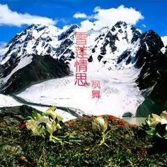 枫舞好听的歌曲mv资料图片新歌枫舞专辑,免费无损下载,无损音乐下载酷我音乐