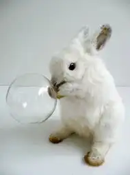 a25f24e743512e4dfcfa3c2c