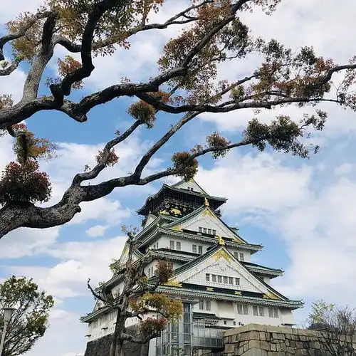 丁很胖的相册日本的人景物