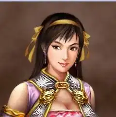 求三国志11武将头像的暴击图