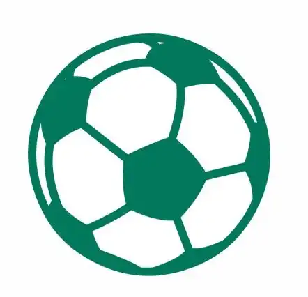 体教融合创特色校园足球结硕果教育部省校足办调研江阴一中校园足球满天星训练营
