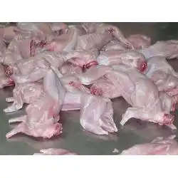 福州市兔肉批发兔肉供应兔肉厂家网络114