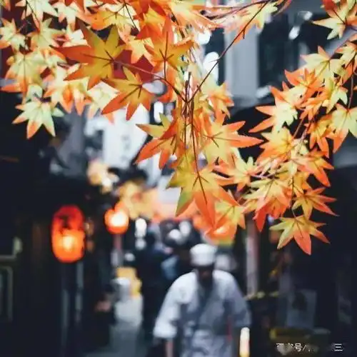 日本摄影师镜头下的生活真实的日本,都是什么样子