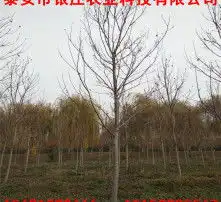 黄页88高清图片