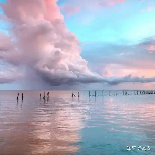 太单纯没心眼不会说话情商低怎么办