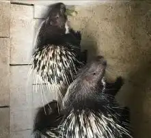 黄页88高清图片