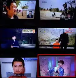 曝光参选议员私人信息,全员高级黑,日本东京电视台这次玩大了