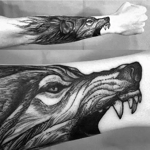 发现设计之美23.狼tattoo