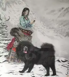 同是热爱三江源这个北京大妞有点儿特别